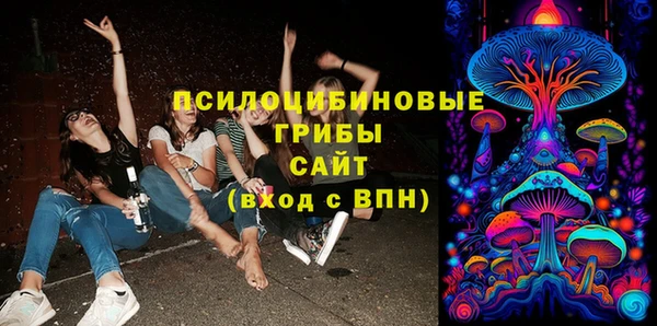 прущие грибы Алексин