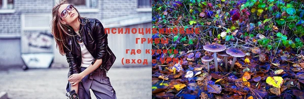 прущие грибы Алексин