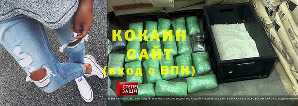 прущие грибы Алексин