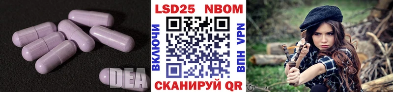 что такое   Анива  Лсд 25 экстази кислота 